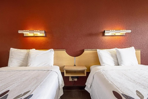 Red Roof Inn Milford - New Haven image 16