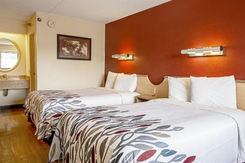 Red Roof Inn Milford - New Haven image 17